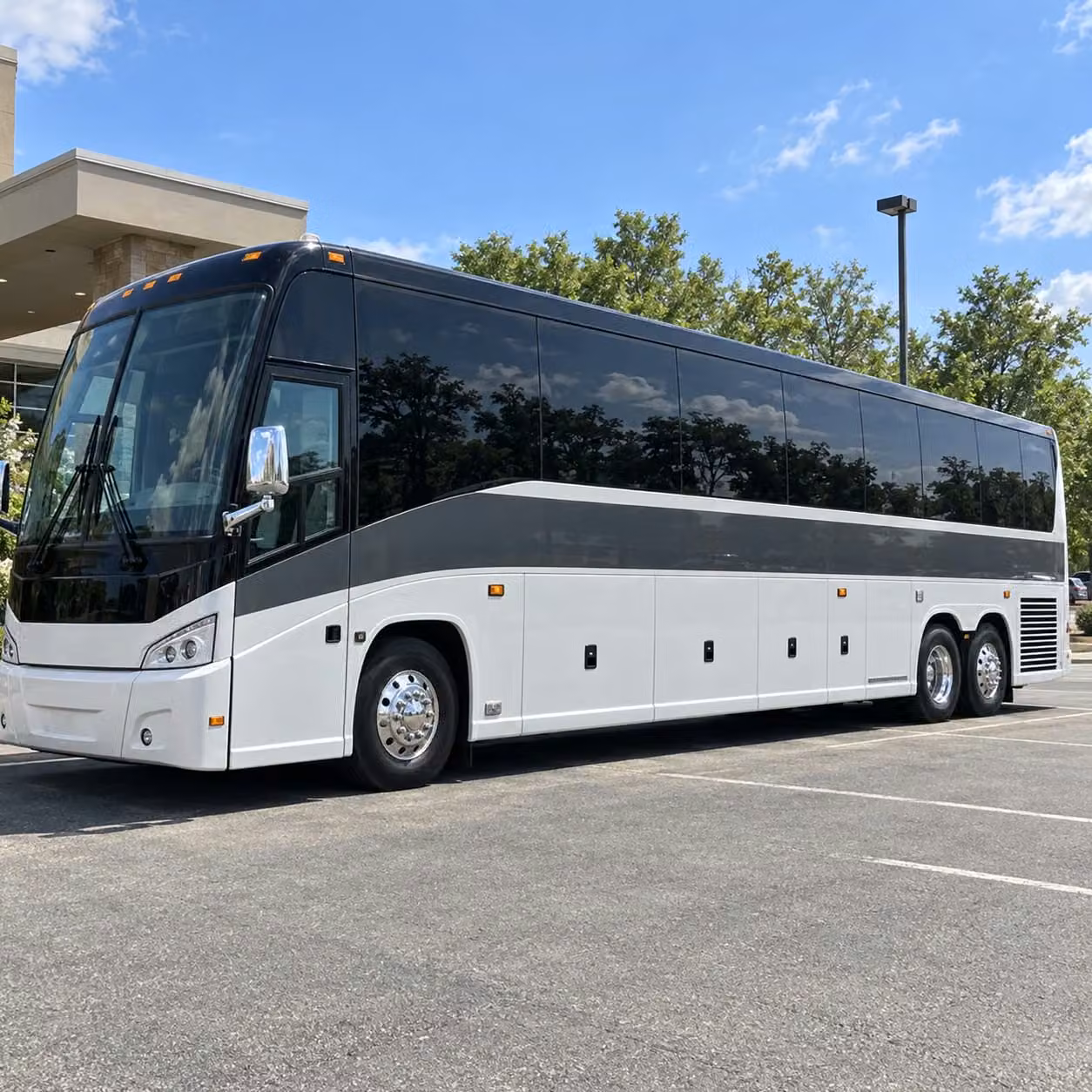 plan field trips from santa maria to dinosaur caves park and pismo beach